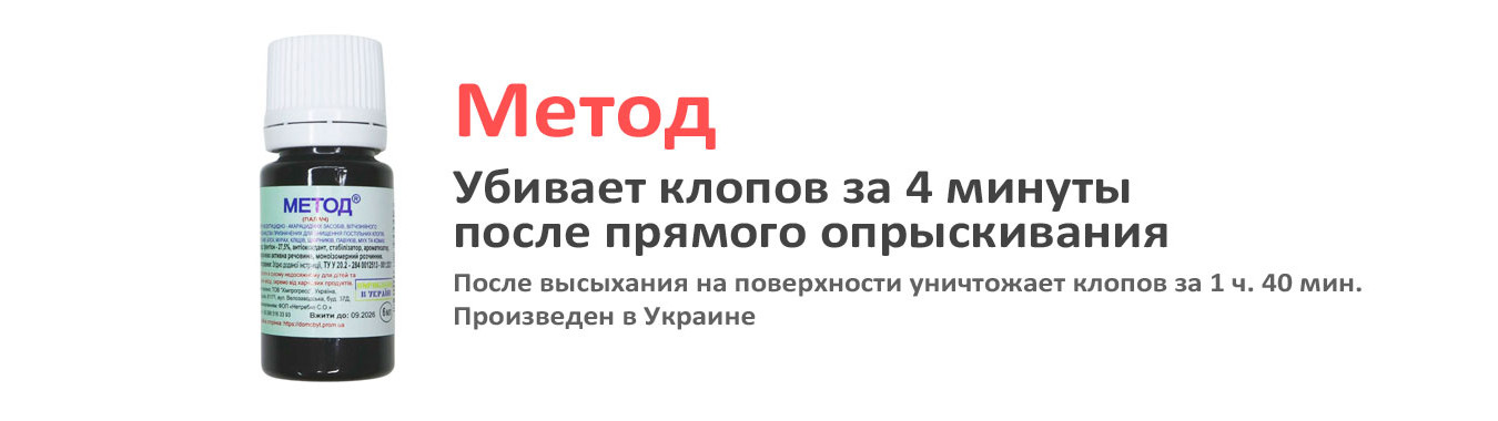 Метод убивает постельных клопов за 4 минуты